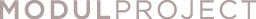 Modulproject